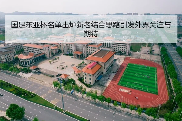 国足东亚杯名单出炉新老结合思路引发外界关注与期待